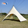 Wood Grain Star Tent | Faux Timber Canopy for Outdoor Glamping
