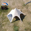 Wood Grain Star Tent | Faux Timber Canopy for Outdoor Glamping