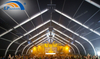 25x60m Customized curve tent temporary removable building for musical festival 