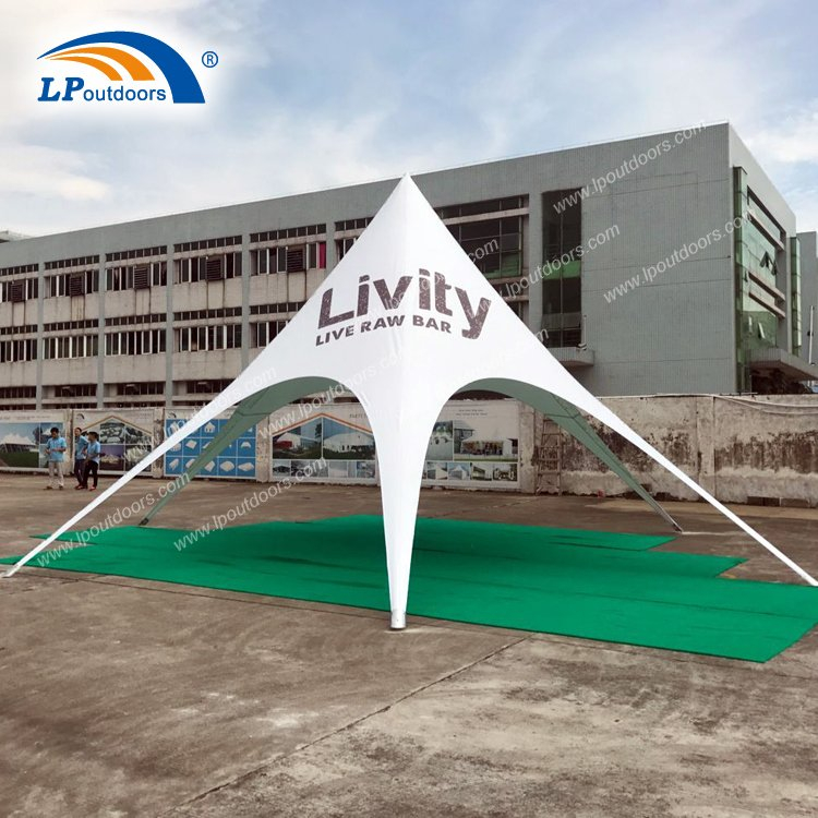 10m Outdoor Display Canopy Gazebo Tent 