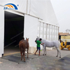 High level polygon marquee temporary workshop building for horse riding 