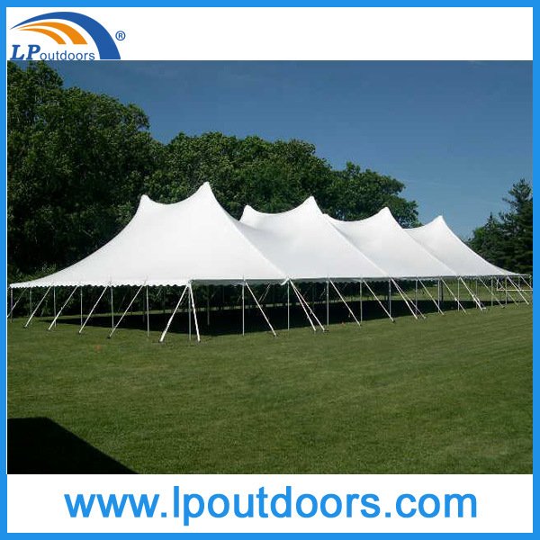 Hot Sale Cheap Wedding Marquee Party Pole Tent